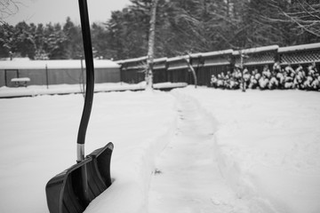 .alone shovel standing in the snow