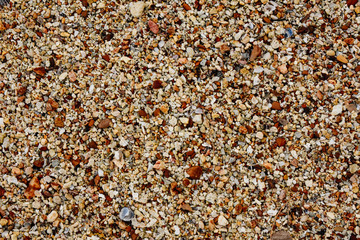 Close up of sea sand and rocks. Beach sand texture.