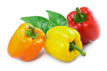 yellow orange and red sweet bell pepper isolated on white background
