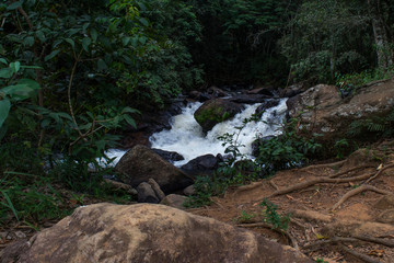 waterfall in forest