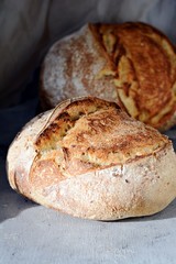 Homemade Freshly Baked Country Bread  made from wheat and whole grain flour on a gray-blue background. French Freshly baked bread. Slicing homemade bread 