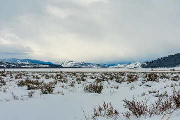 Snow in Grand Teton