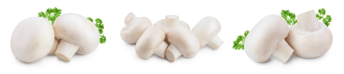 Fototapeta premium Fresh mushrooms champignon isolated on white background with clipping path and full depth of field. Set or collection