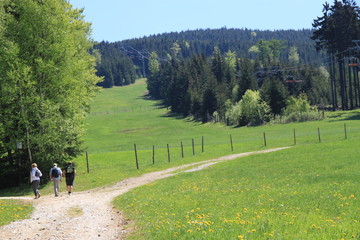 droga prowadząca na szlak górski-Czechy