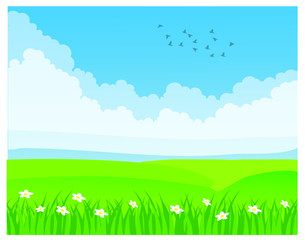 Fototapeta premium Vector images, cloudy sky background, grassland