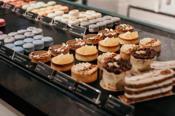 Delicious italian food isolation on white background