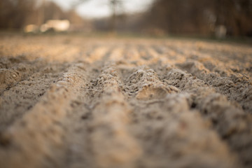 Frozen field. Tire tracks in snow. tire tracks in the sand
