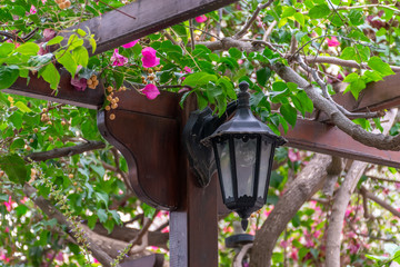 A vintage street lamp illuminates the street at night.