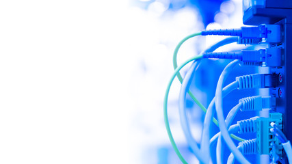 Network cables are connected to the equipment. Network wires on a white background. Server...