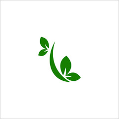 vector illustration of green leaf