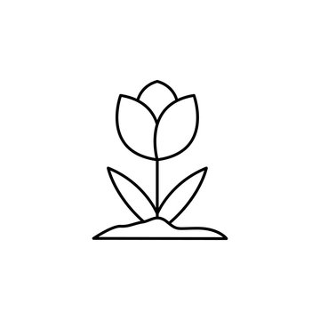 Tulip flower icon. Simple line, outline vector elements of spring icons for ui and ux, website or mobile application