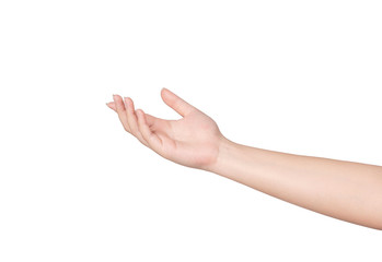 Female hand isolated on white background.