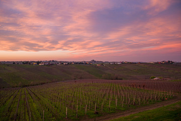 Fototapeta na wymiar Piacenza, Northern Italy. Vineyards and winter fields in the Italian wine region, in the village of Montecucco.