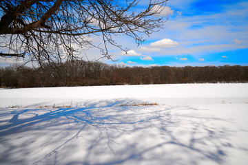 Snow Covered Illinois Lake with Blue Skies and White Clouds with Tree lined background 