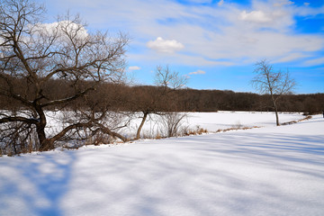 Scenic View of Snow-Covered Lake, Blue Skies, White Clouds and Tree lined background	