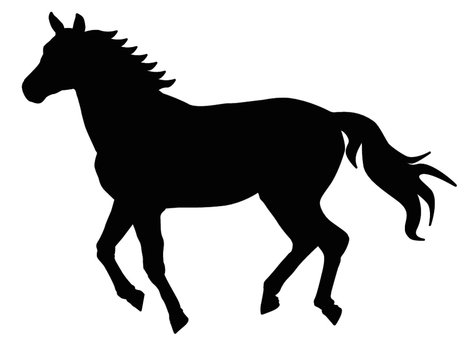 29 Horse Silhouette