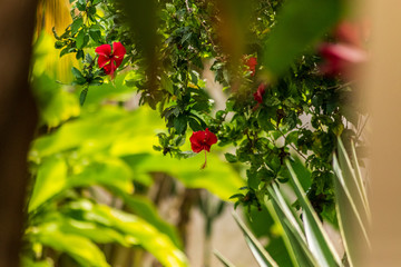 naturaleza