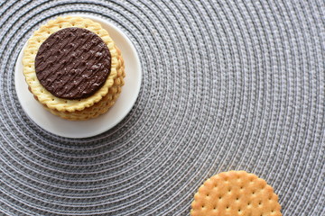 Chocolate cookies displayed on light background