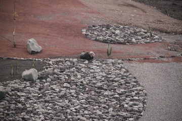 Fotograf w żywiole  © ewa