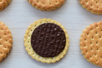 Chocolate cookies displayed on light background