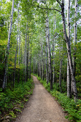 A path in a national park in the Charlevoix region of Quebec, Canada. 