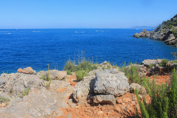 View of Tirrenic sea with rocks and vegetation. Monte Argentario, Tuscany, Italy