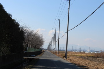 一本道