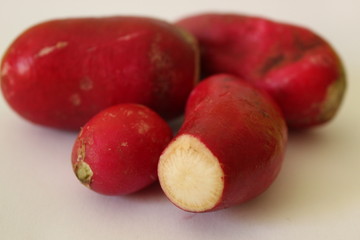 Rábanos