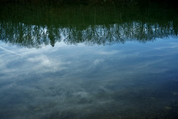 Reflection on lake - upside down trees