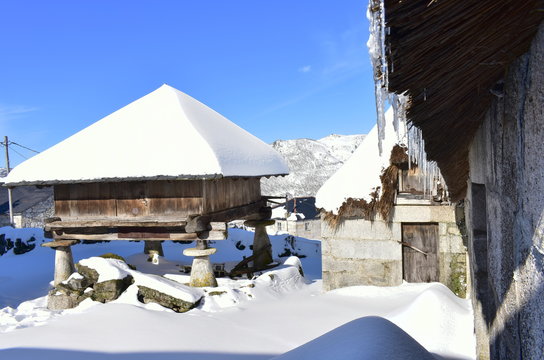 Piornedo mountain village after a snowfall with ancient Palloza stone houses with thatched roofs and traditional wooden granary known as Horreo. Ancares, Lugo, Galicia, Spain.