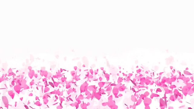 Million pink sakura leaves roll twirl and falling on the floor light rose color