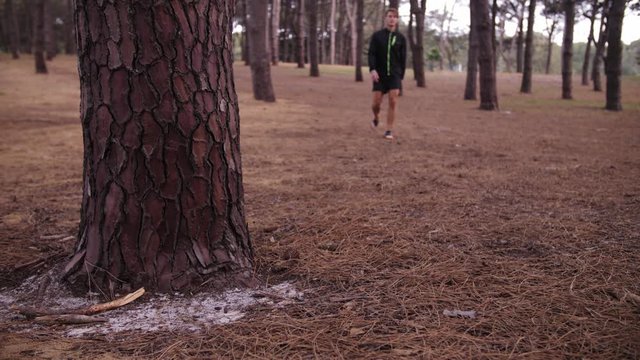 Slow Motion Man walking with Pine Tree Forest Surrounding Him