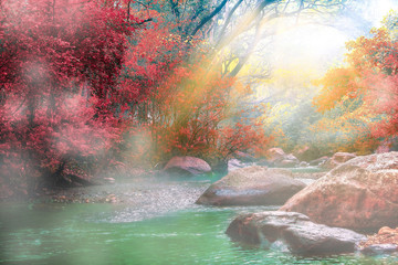Hot Springs Onsen Natural Bath Surrounded by red-yellow leaves. In fall leaves fall .Waterfall among many foliage, In the fall leaves Leaf color change. - obrazy, fototapety, plakaty