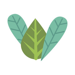 ecology leafs plant isolated icon