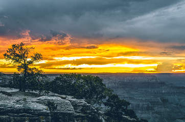 Sun setting at the Grand Canyon , No people, Copy space