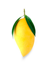 Yellow mango and leaf isolated on white background with clipping path.