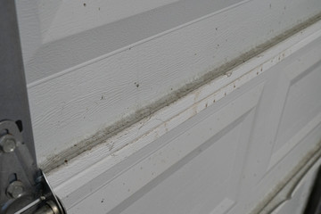 Close-up of a dirty residential garage door in need of cleaning.
