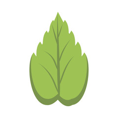 ecology leaf plant isolated icon