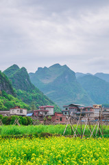 Mountain and tree scenery