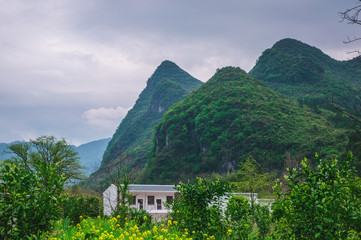 Mountain and tree scenery