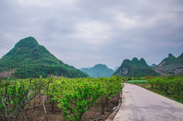 Road in the mountains