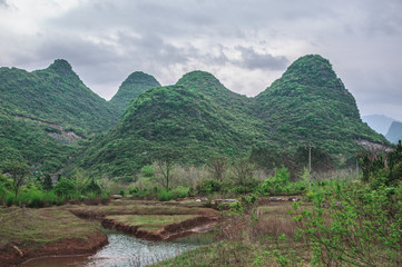 Mountain and tree scenery