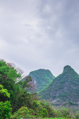 Mountain and tree scenery