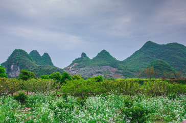Landscape with green hills and mountains 