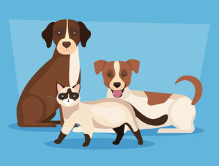 group of dogs with cat icons