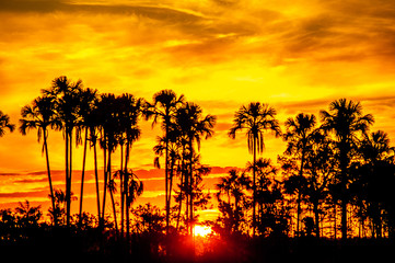sunset at Chapada dos Veadeiros