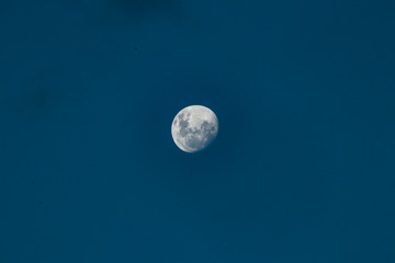 full moon in the sky