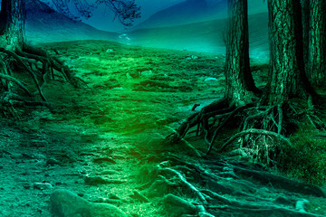 Fototapeta premium Horror background. Spooky forest in the night.