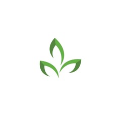 Green leaf logo