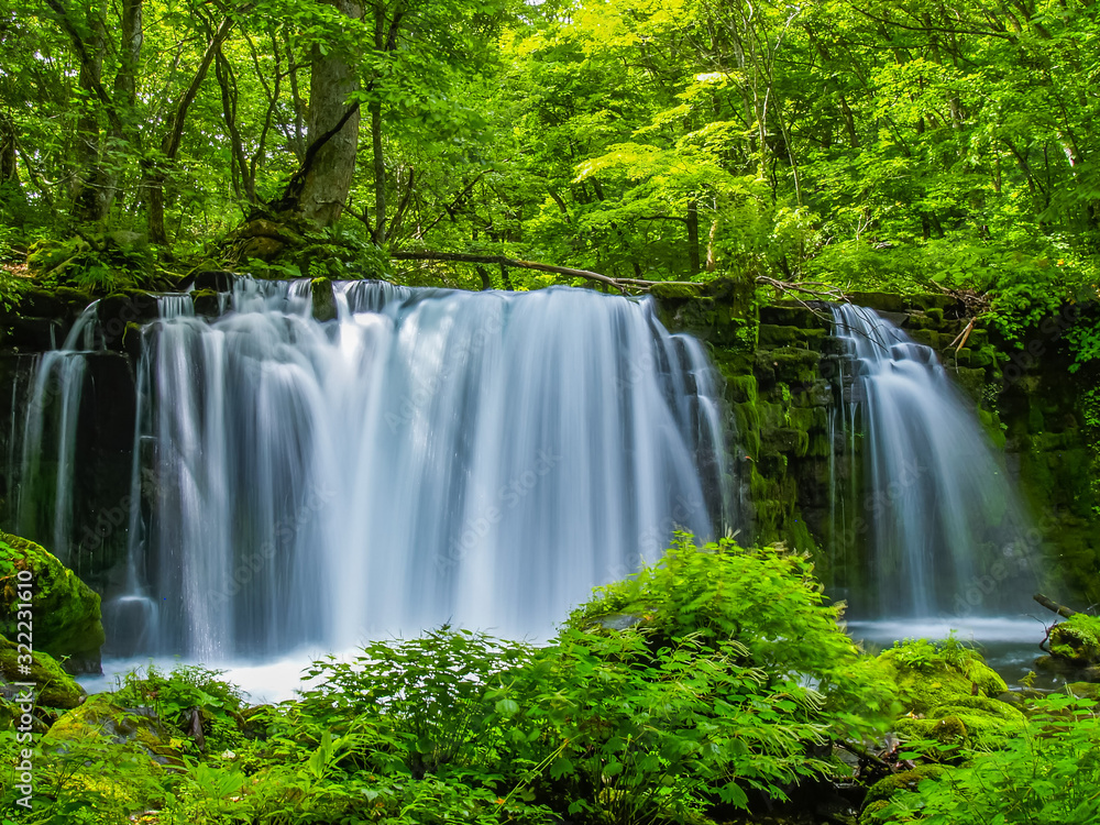 Poster choshiootaki falls　銚子大滝